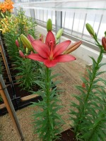 [4072 Atacama VH No01.JPG]